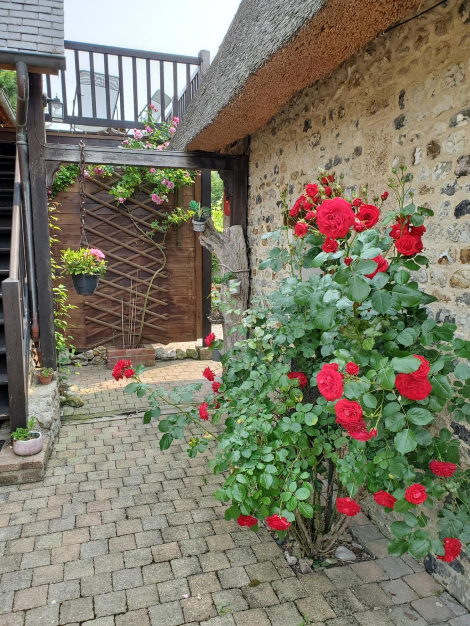 La Griotte & Spa&Piscine 펜네데피 외부 사진